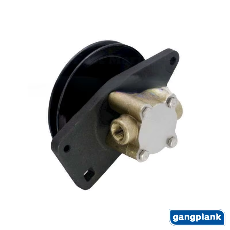 Ensemble de pompe à eau de mer pour Onan CumSERVICES, 132-0395, 132-0430