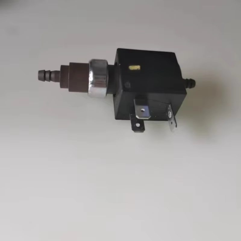 Nouvelle pompe électromagnétique pour nettoyeur vapeur Karcher, pompe auto-amorçante de remplacement SC2 SC3