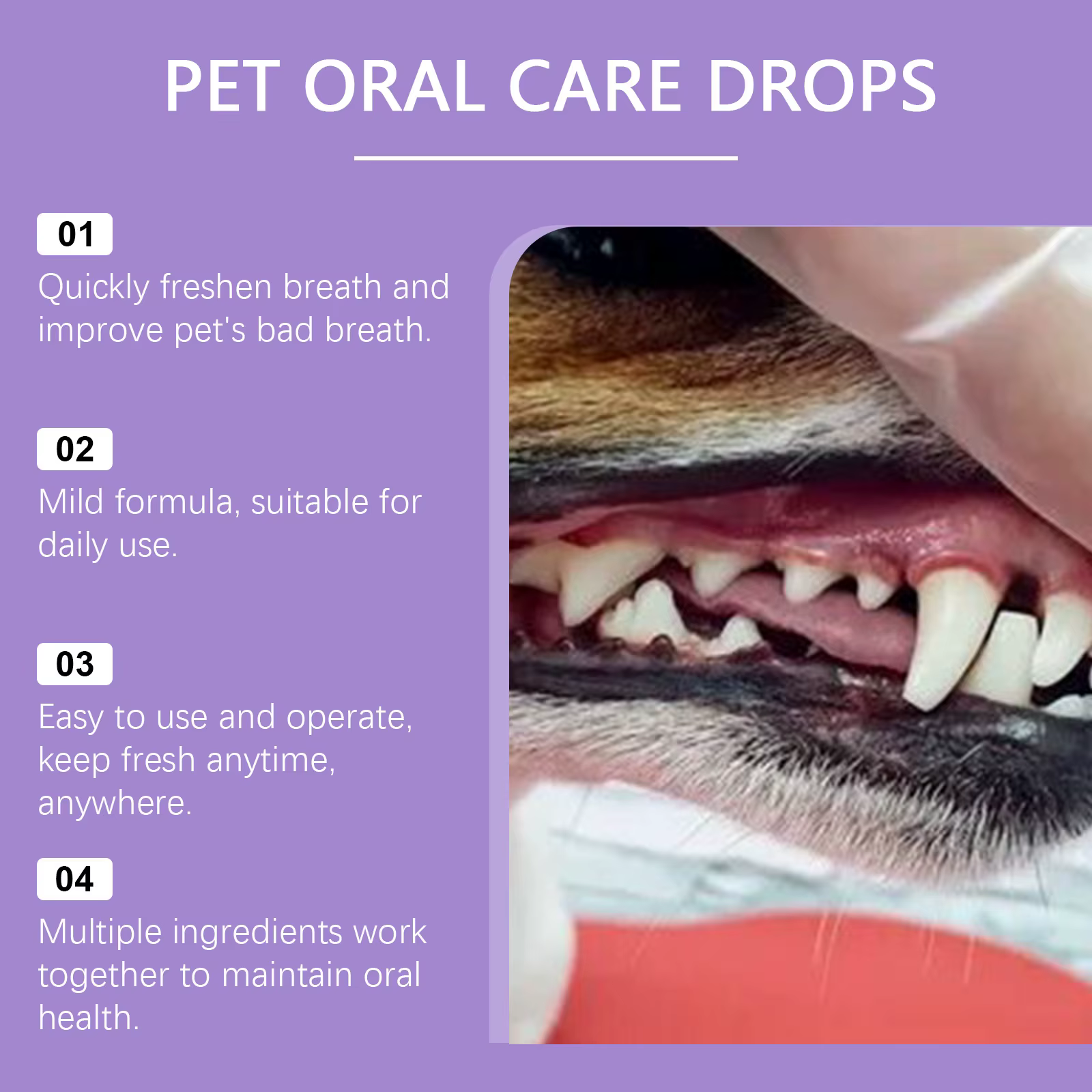 Spray rafraîchissant pour l'haleine des chiens et des chats - Élimination efficace du tartre et de la plaque dentaire, stoppe la mauvaise haleine, traitement doux d'hygiène buccale pour animaux de com