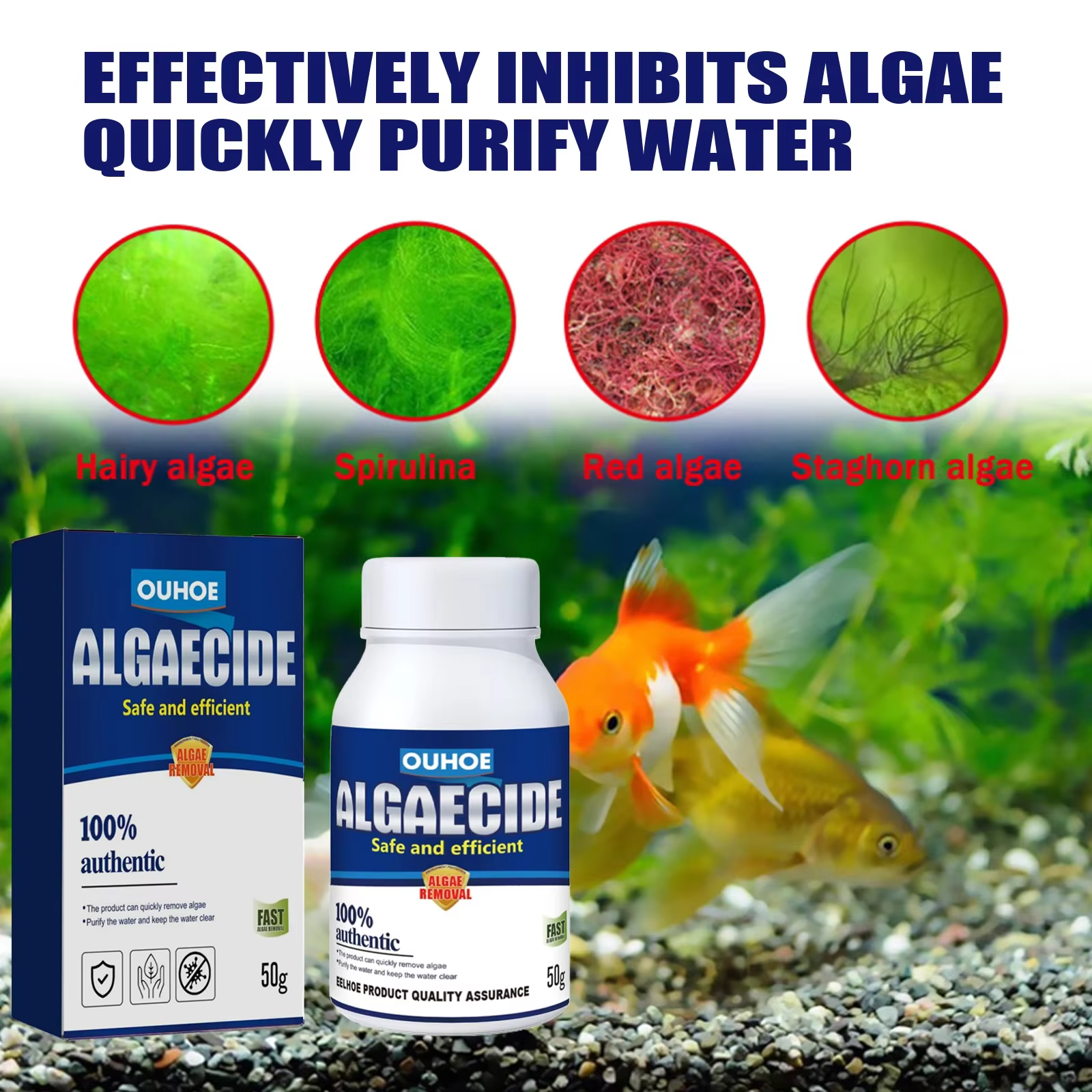Dissolvant d'algues d'aquarium