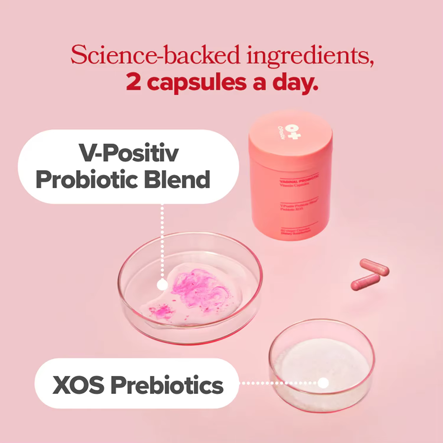 Probiotiques Vagianl pour Femmes Équilibre du pH avec Prébiotiques - Complément Alimentaire pour la Santé Vaginale Favorise une Odeur Vaginale Saine et une Flore Vaginale Saine