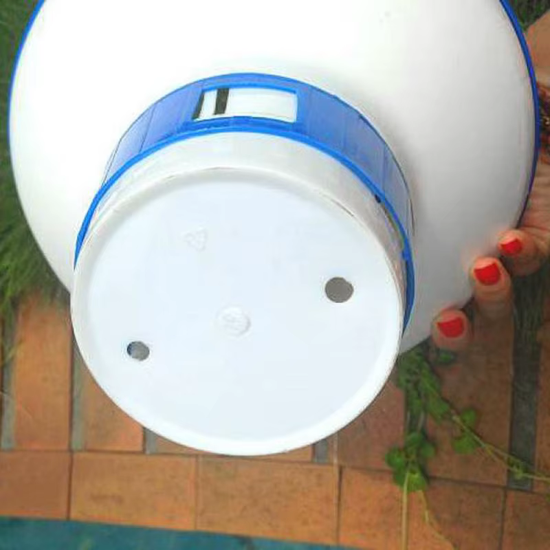 Grandes outils de nettoyage de piscine de luxe de 8 pouces