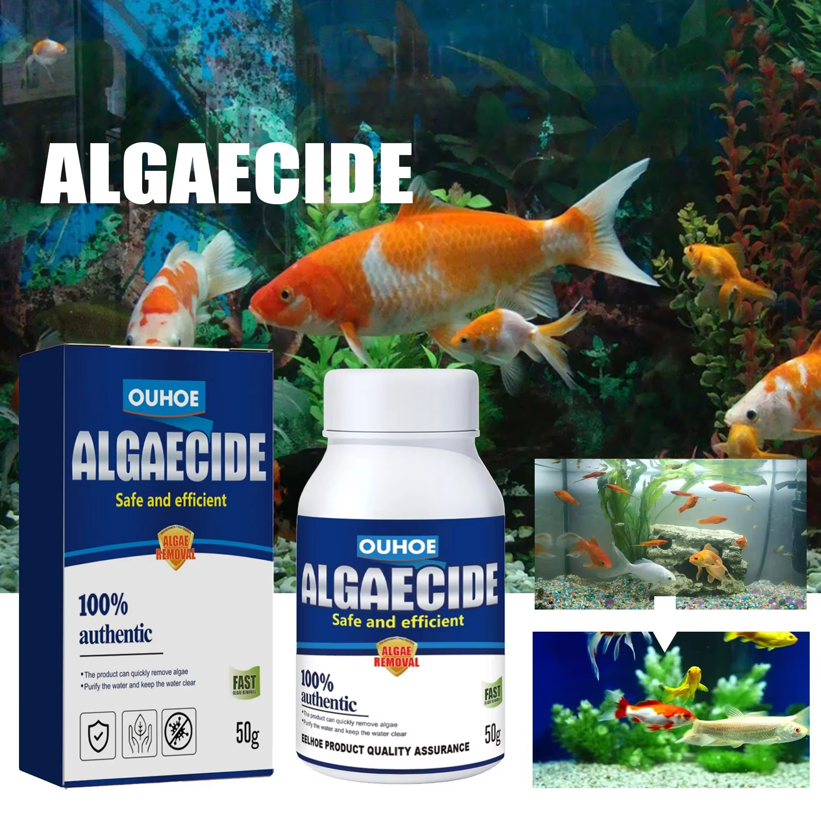 Dissolvant d'algues d'aquarium
