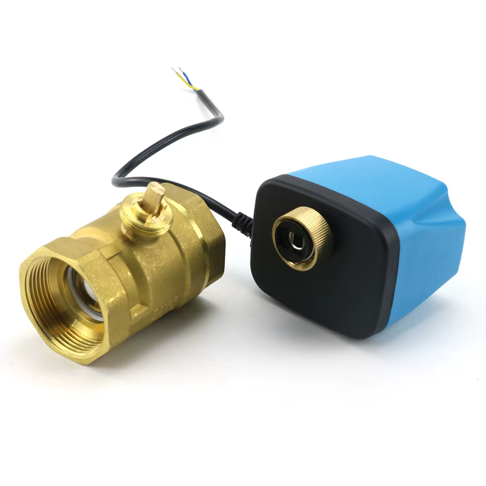 Vanne à boisseau sphérique électrique motorisée normalement fermée/ouverte 1/2'' 3/4'' 1'' 2'' 110V 220V 12V 24V 2 fils en laiton pour électrovanne d'eau