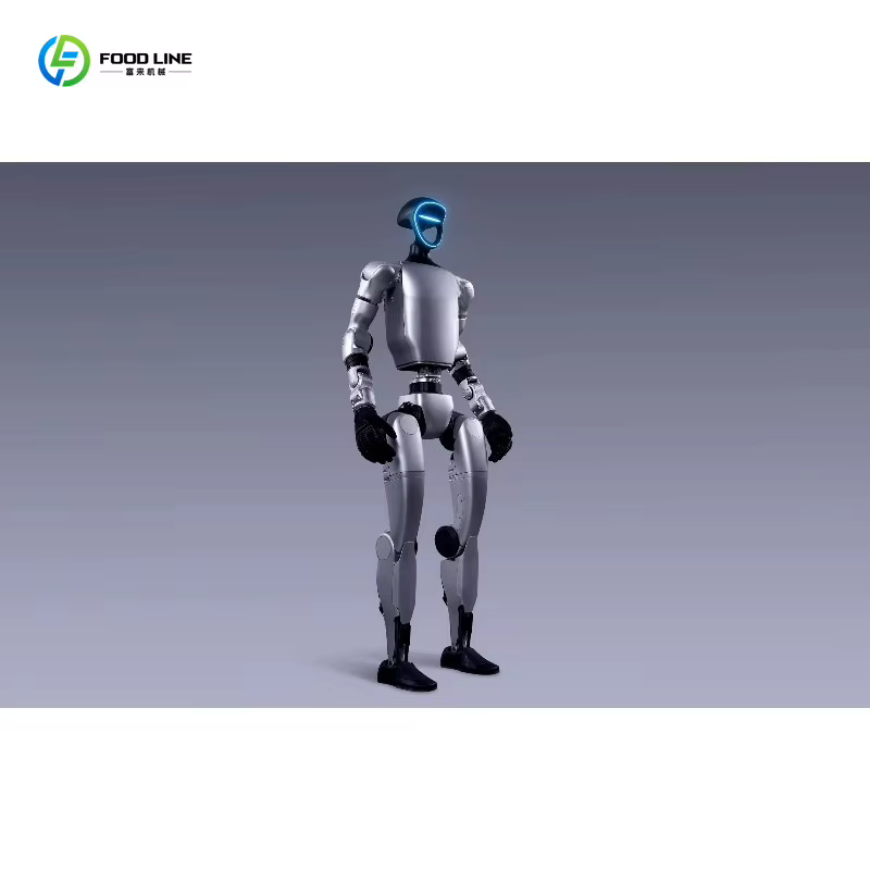 Robot humanoïde intelligent personnalisé pour l'éducation, la recherche, la scène et le divertissement