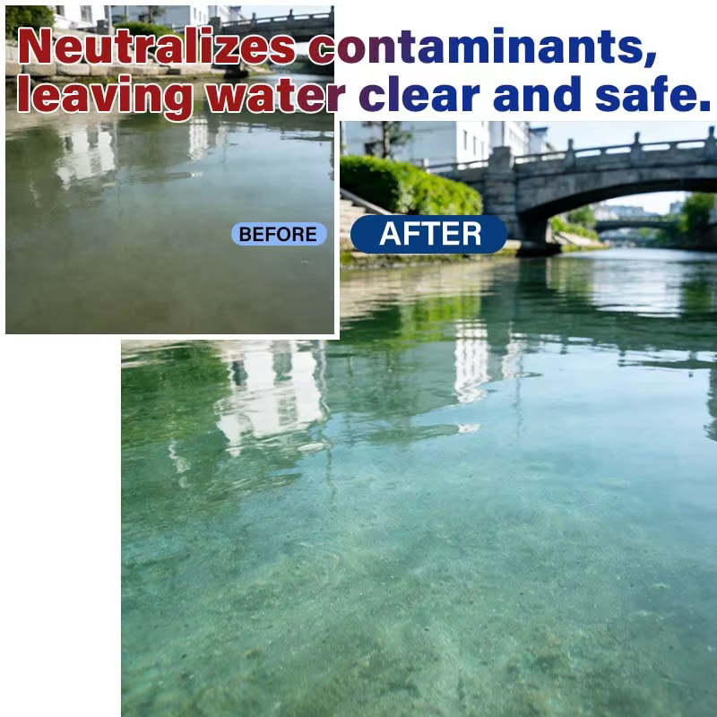 Comprimés de purification d'aquarium 100g