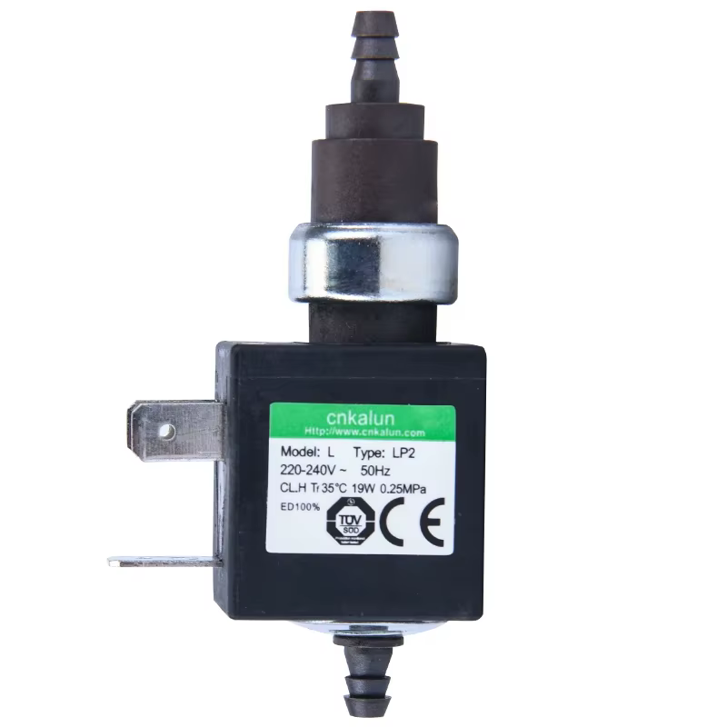 Nouvelle pompe électromagnétique pour nettoyeur vapeur Karcher, pompe auto-amorçante de remplacement SC2 SC3