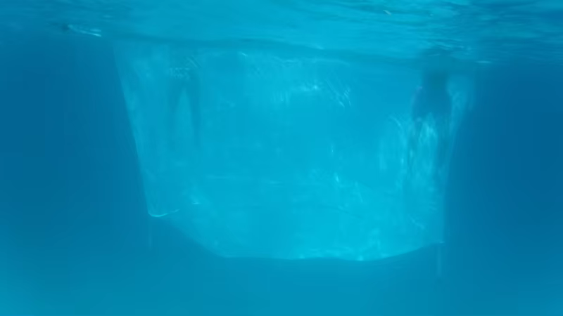 Piscine flottante gonflable de quai d'océan de yacht de mer de tube de PVC avec le filet