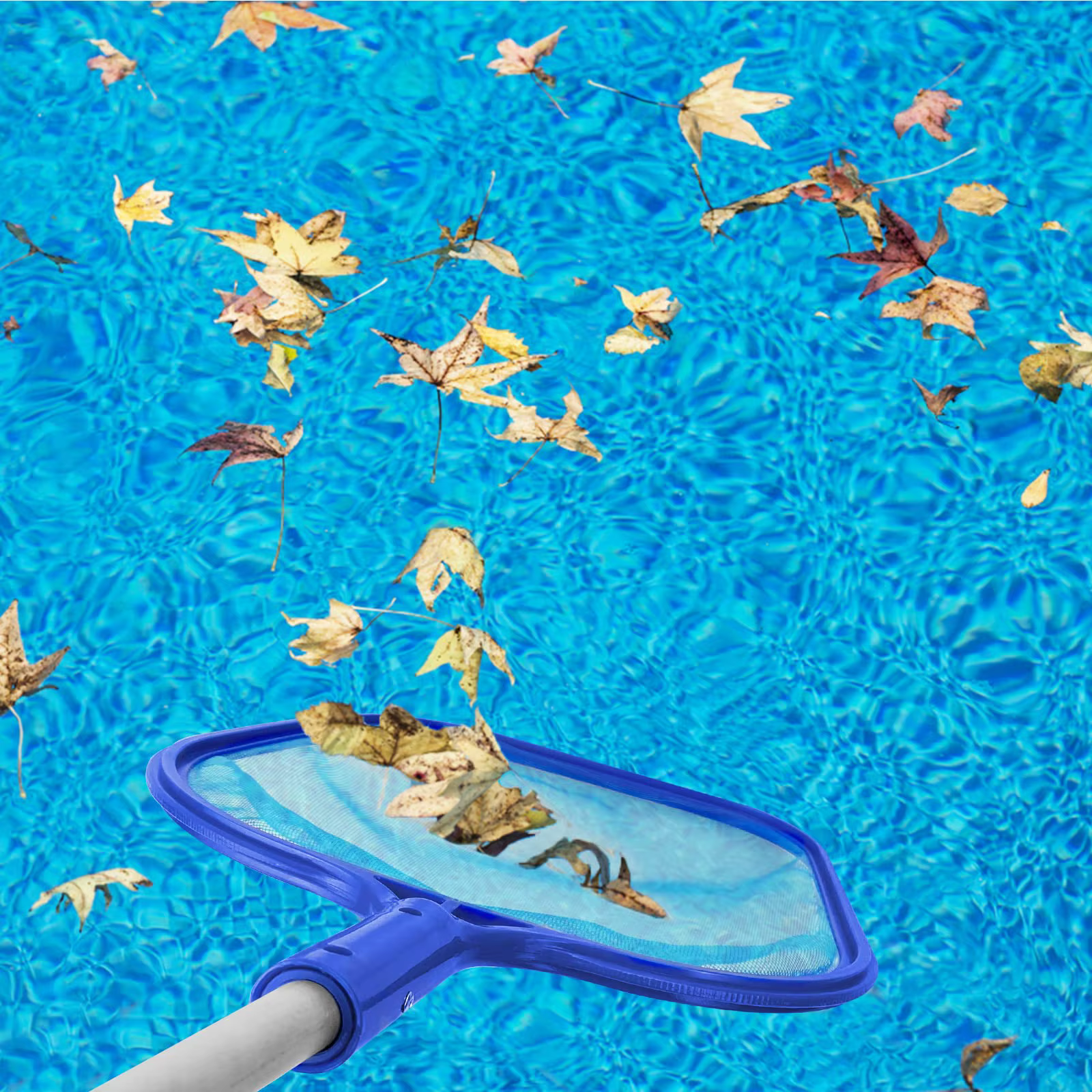 Épuisette à feuilles pour piscine